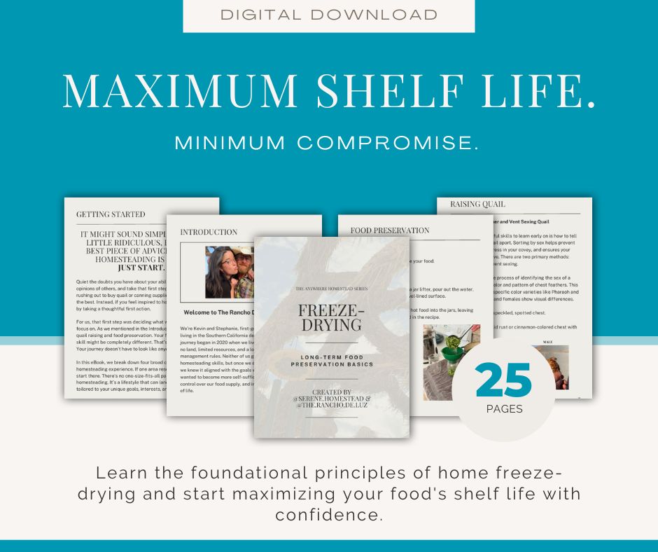 Home Freeze-Drying Guide for Beginners