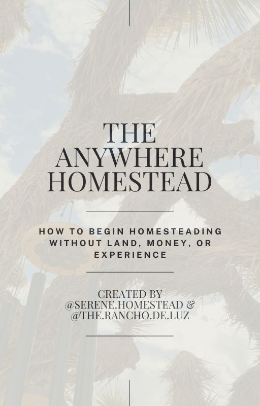 The Anywhere Homestead eBook Cover