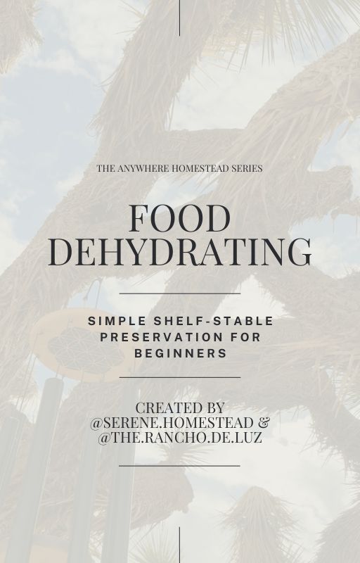 Food Dehydrating Guide for Beginners