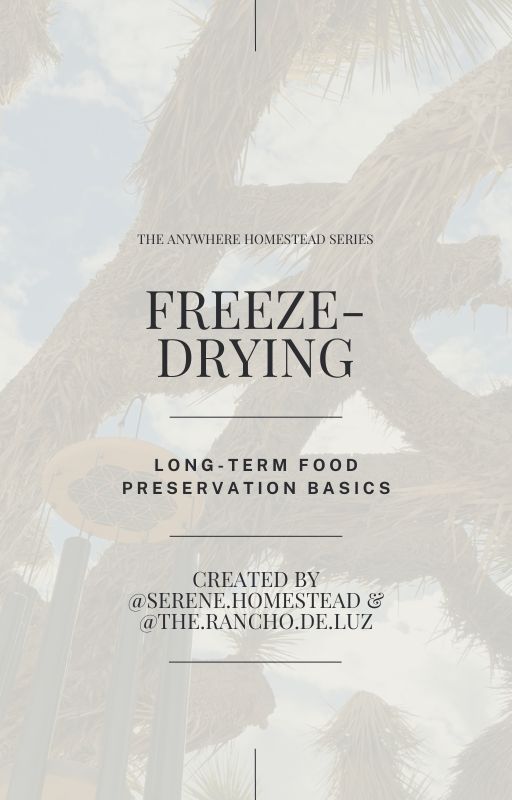 Freeze-Drying Guide for Beginners