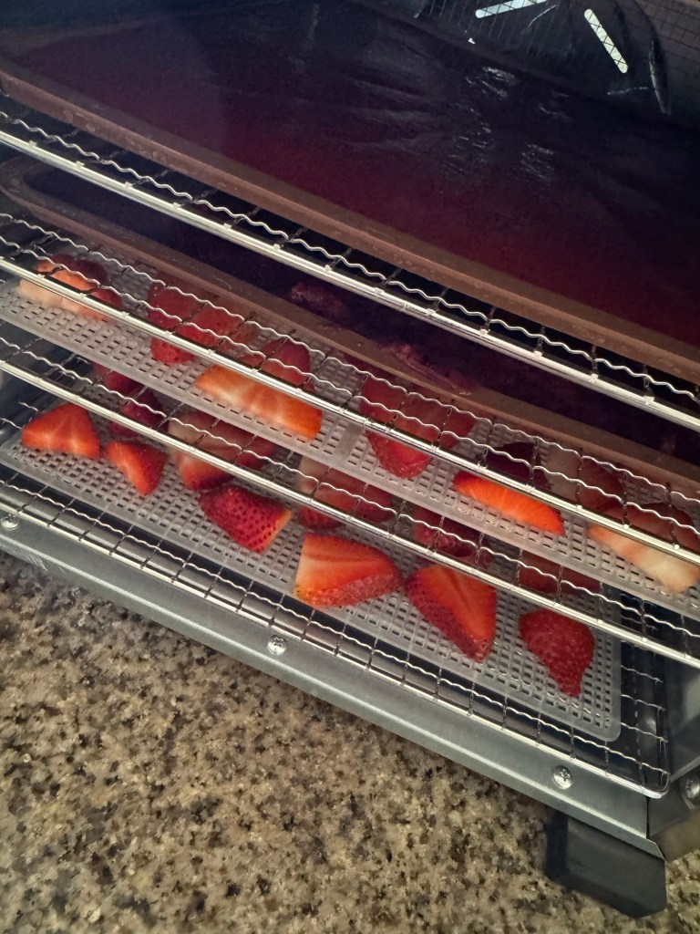 Dehydrating Food for Beginners