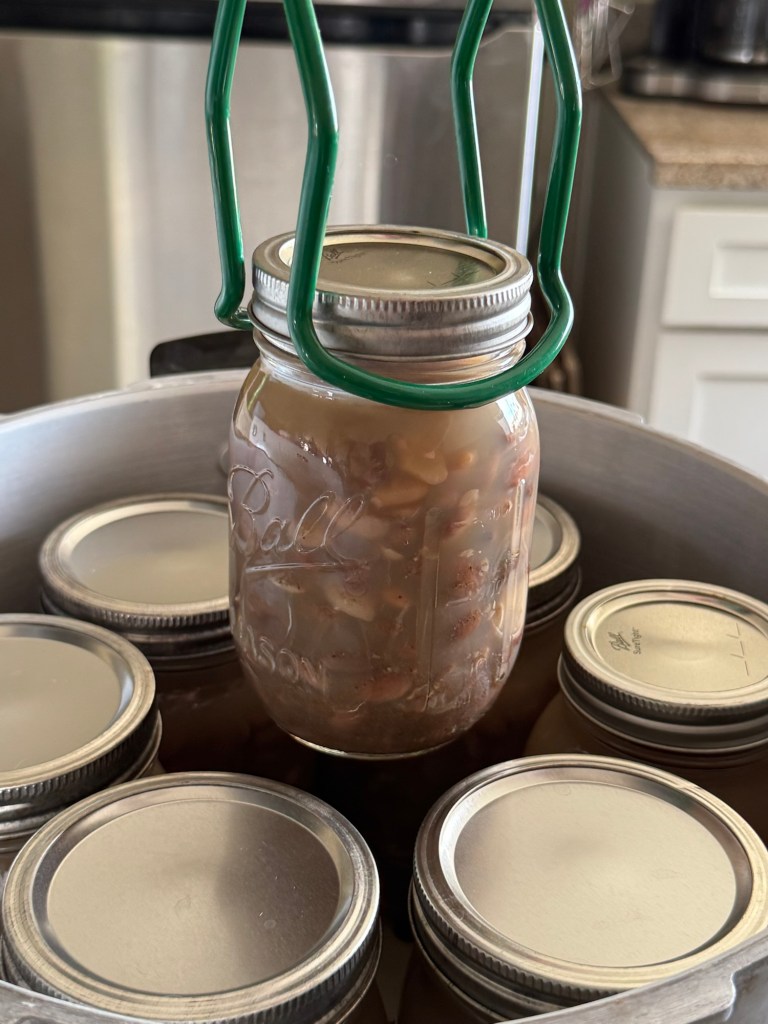 Pressure Canning Pinto Beans at Home for Beginners