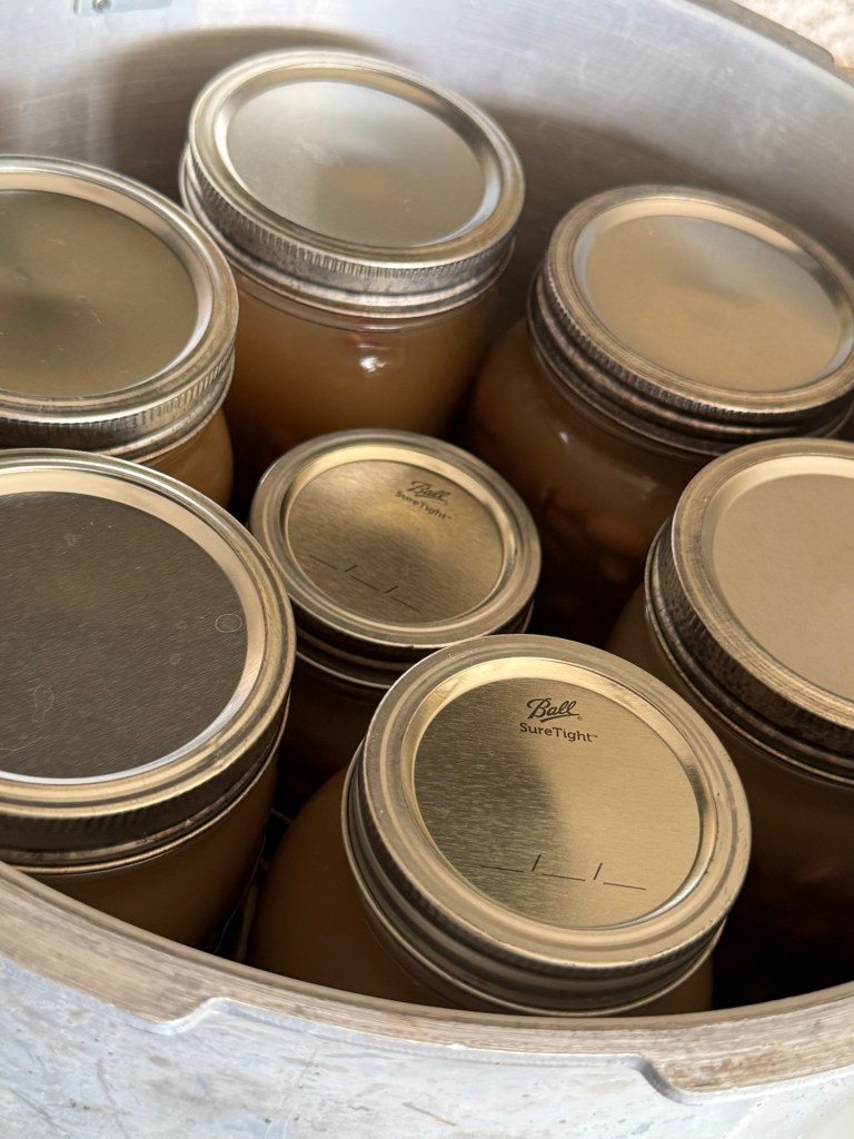 Full Pressure Canner of Pinto Beans