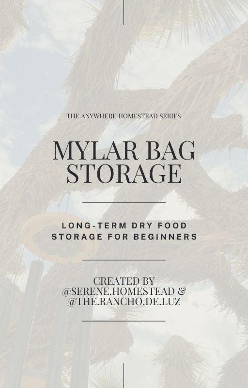 Mylar Bag Storage Guide for Beginners